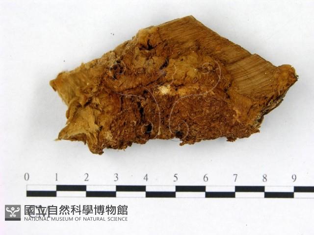 登錄號:F0006765藏品圖，第1張