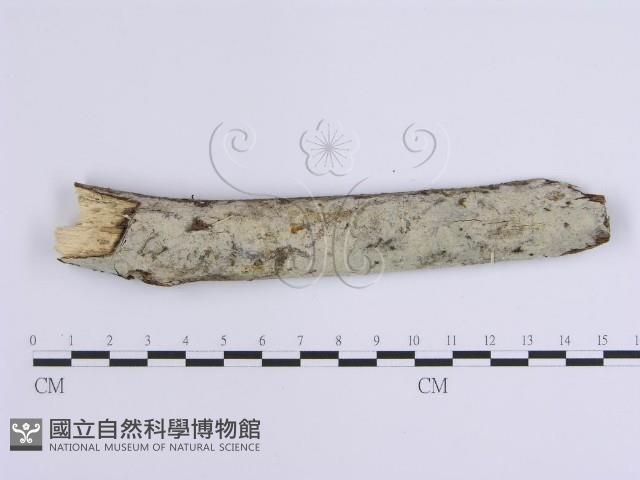 登錄號:F0002765藏品圖，第1張