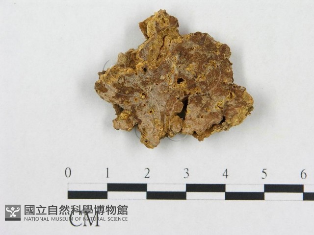 登錄號:F0006565藏品圖，第1張