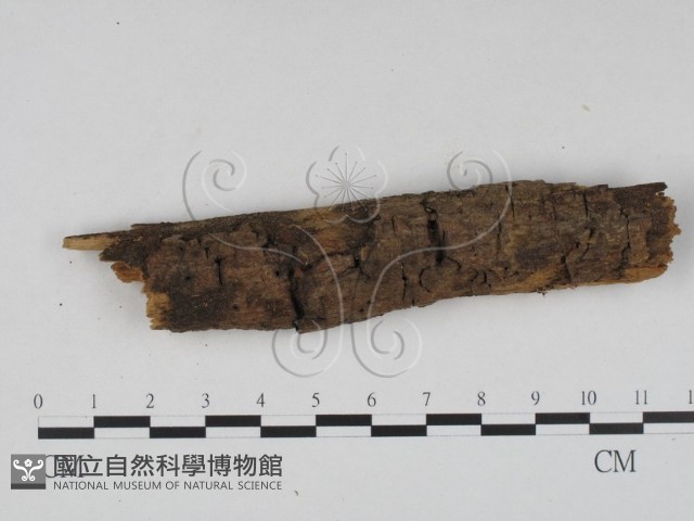 登錄號:F0016565藏品圖，第1張