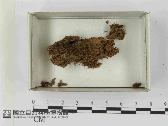 登錄號:F0021565藏品圖，第1張