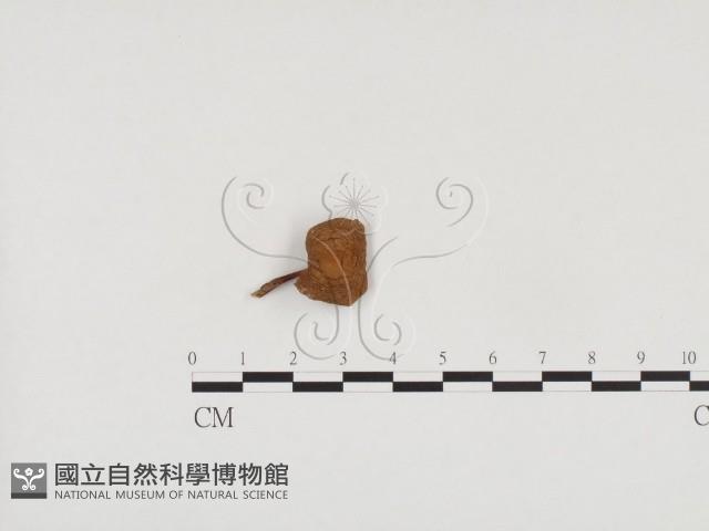 登錄號:F0024565藏品圖，第1張