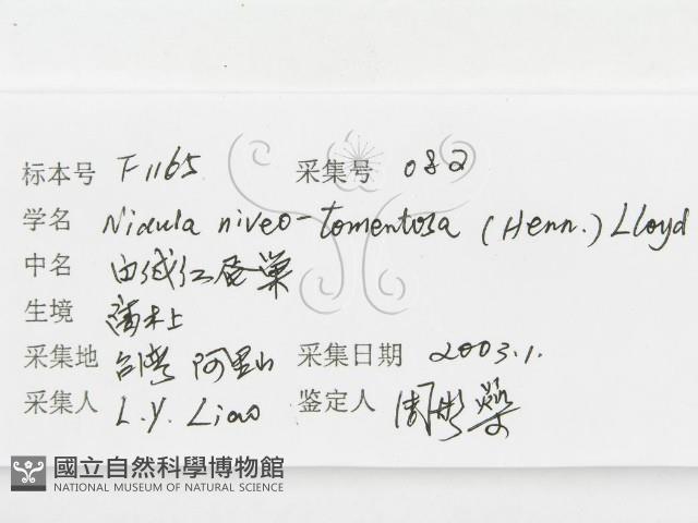 登錄號:F0001165藏品圖，第3張