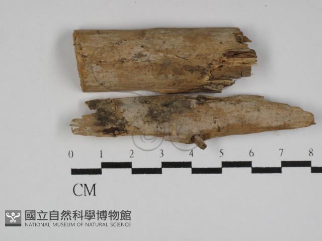 登錄號:F0031165藏品圖，第1張