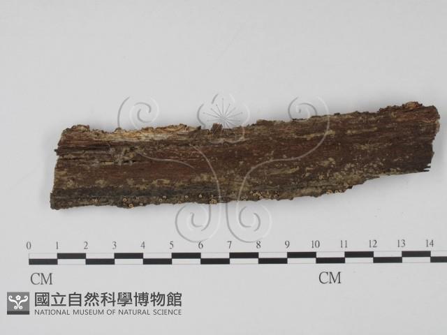 登錄號:F0003165藏品圖，第1張