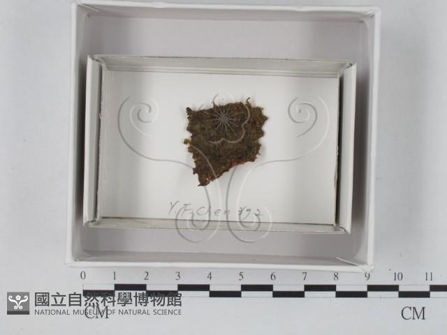 登錄號:F0018065藏品圖，第1張