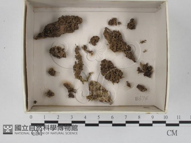 登錄號:F0018365藏品圖，第1張