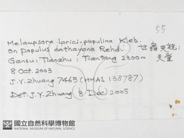 登錄號:F0026225藏品圖，第3張