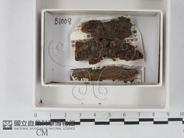 登錄號:F0021225藏品圖，第1張