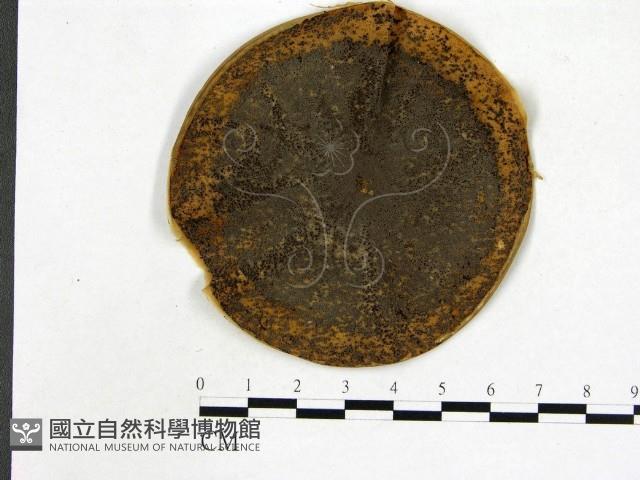 登錄號:F0002225藏品圖，第1張