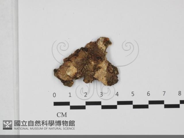 登錄號:F0032225藏品圖，第1張