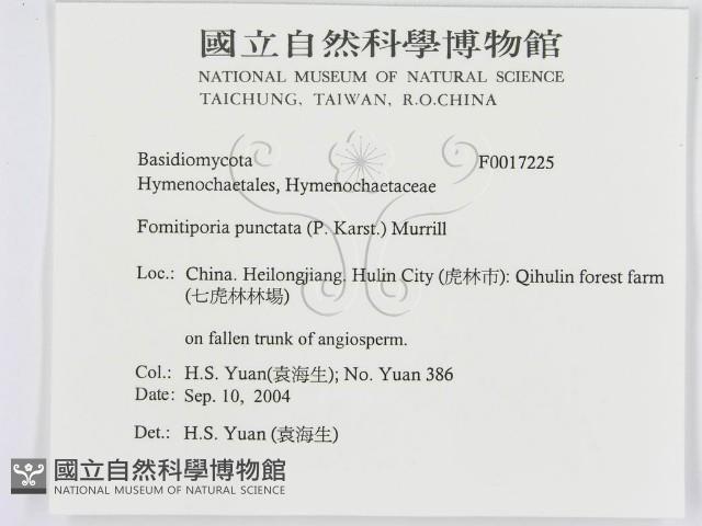 登錄號:F0017225藏品圖，第3張