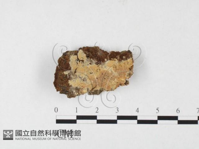 登錄號:F0026825藏品圖，第1張
