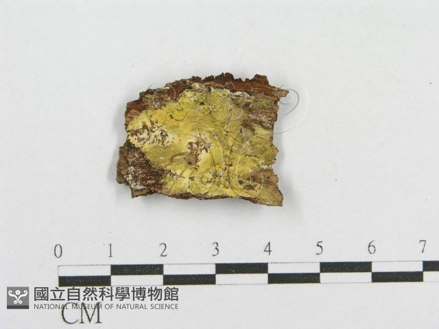 登錄號:F0016825藏品圖，第1張