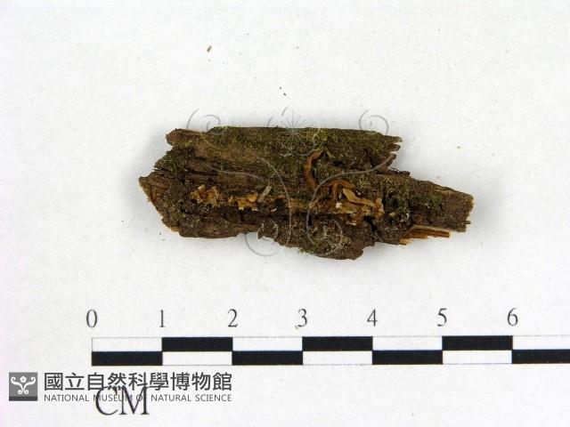 登錄號:F0001825藏品圖，第1張