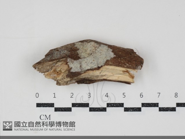 登錄號:F0034825藏品圖，第1張