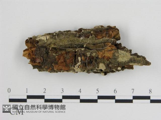 登錄號:F0017825藏品圖，第1張