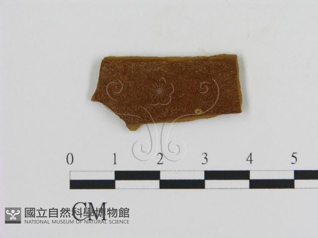 登錄號:F0005825藏品圖，第1張