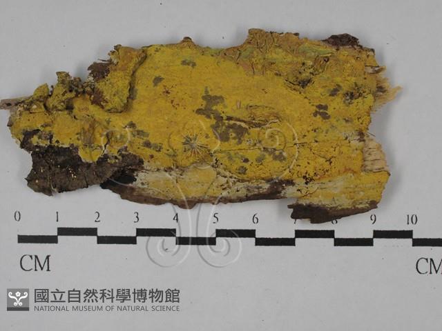 登錄號:F0028925藏品圖，第1張