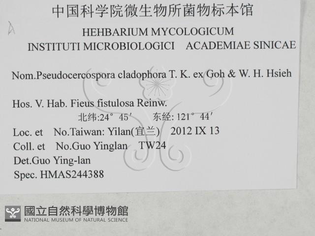 登錄號:F0027925藏品圖，第3張