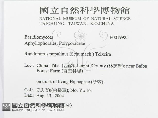 登錄號:F0019925藏品圖，第3張