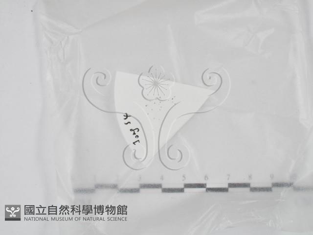 登錄號:F0020625藏品圖，第1張