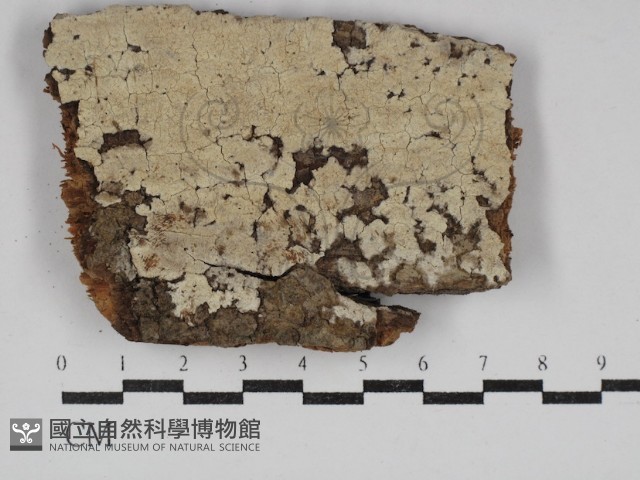 登錄號:F0030625藏品圖，第1張