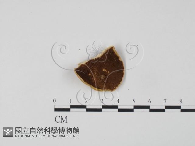 登錄號:F0006625藏品圖，第1張