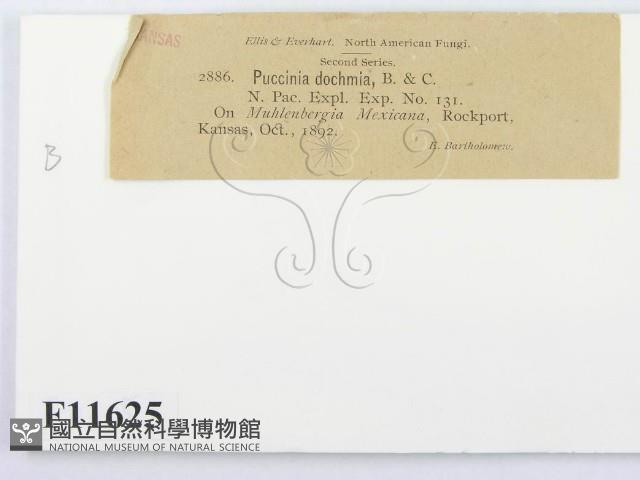 登錄號:F0011625藏品圖，第3張