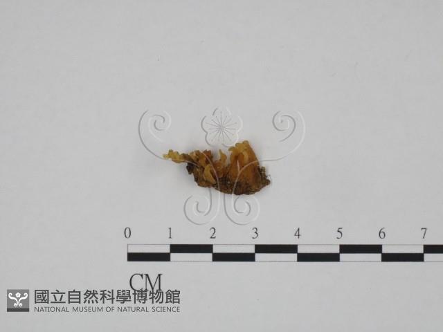 登錄號:F0024625藏品圖，第1張