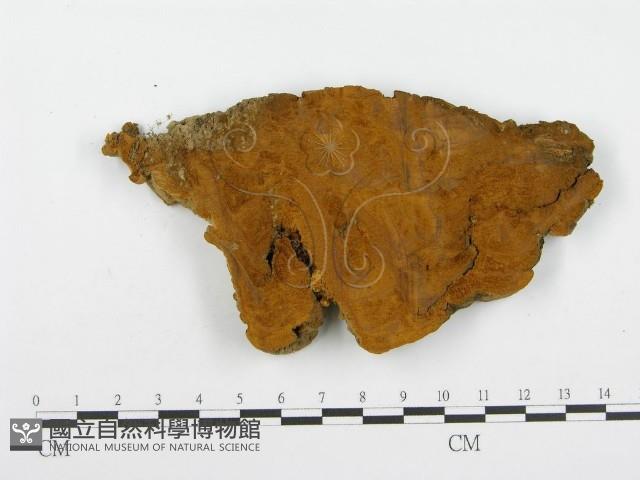 登錄號:F0004625藏品圖，第1張