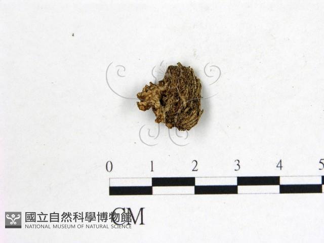 登錄號:F0022625藏品圖，第1張