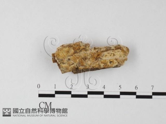 登錄號:F0025625藏品圖，第1張