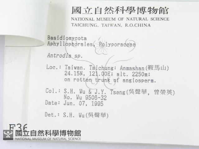 登錄號:F0003625藏品圖，第3張