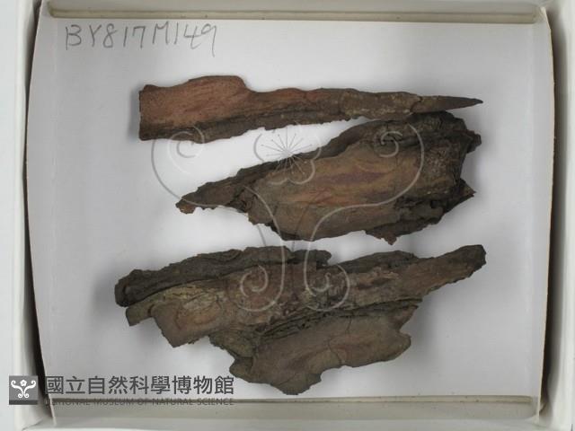 登錄號:F0018425藏品圖，第1張