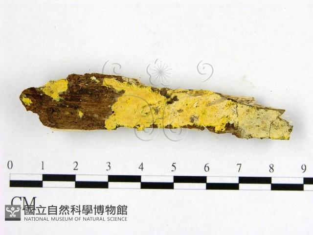 登錄號:F0010425藏品圖，第1張