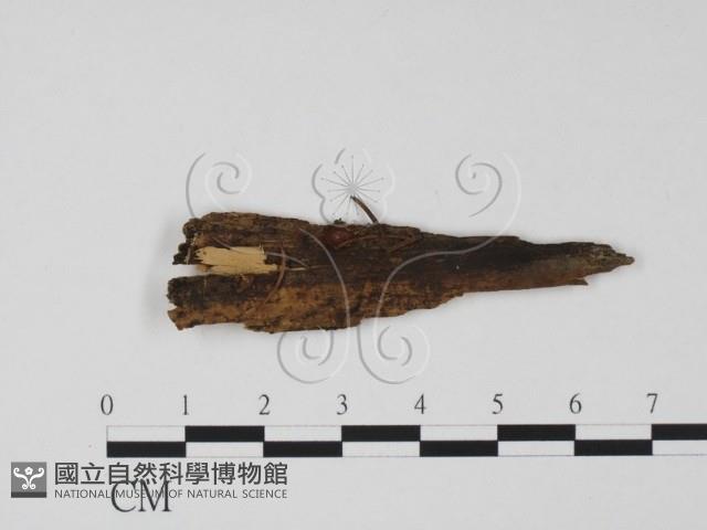 登錄號:F0001425藏品圖，第1張