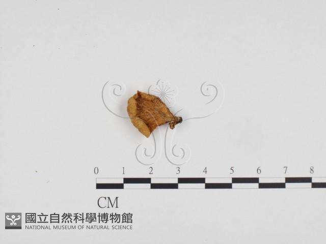 登錄號:F0024425藏品圖，第1張