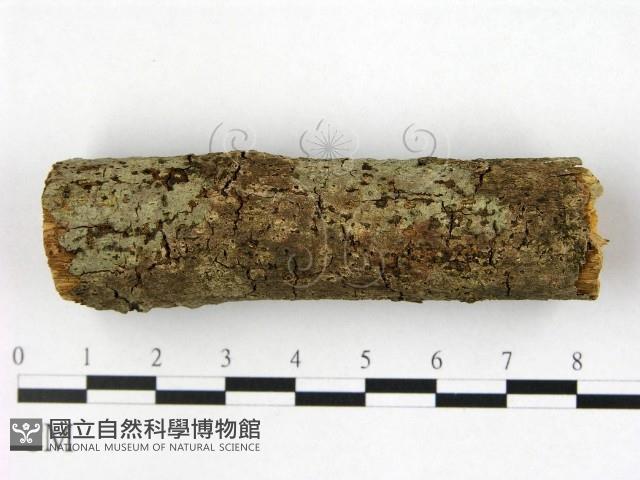 登錄號:F0022425藏品圖，第1張