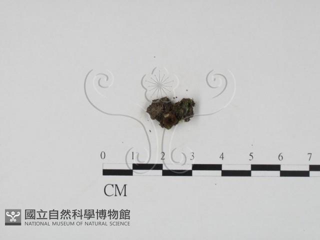 登錄號:F0015425藏品圖，第1張