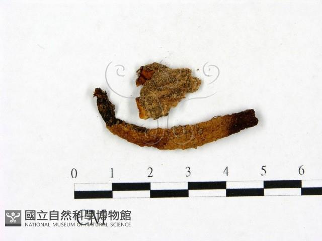 登錄號:F0023425藏品圖，第1張