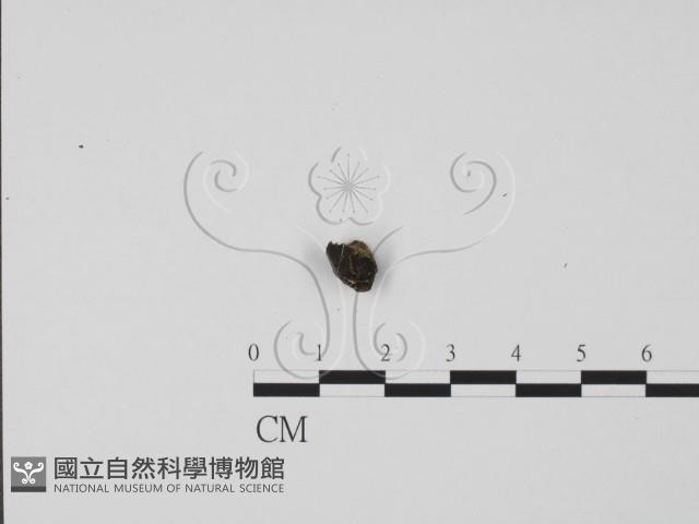 登錄號:F0005725藏品圖，第1張