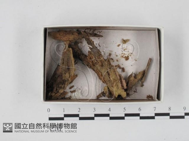 登錄號:F0018525藏品圖，第1張