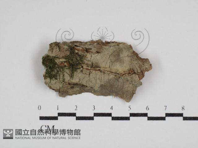 登錄號:F0030525藏品圖，第1張