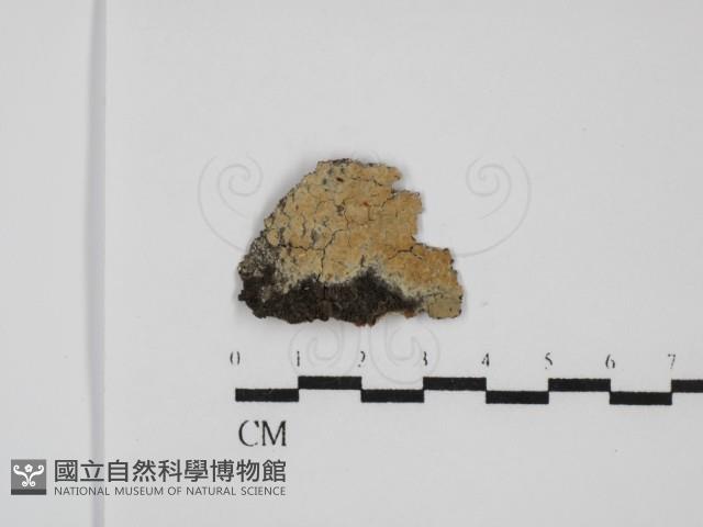 登錄號:F0031525藏品圖，第1張