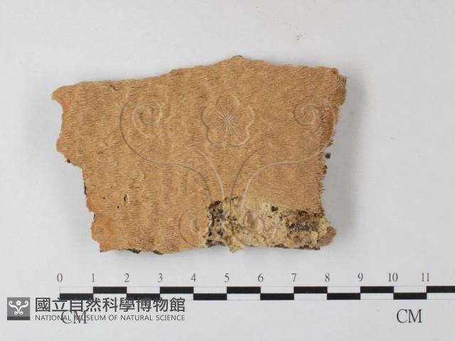 登錄號:F0004525藏品圖，第1張