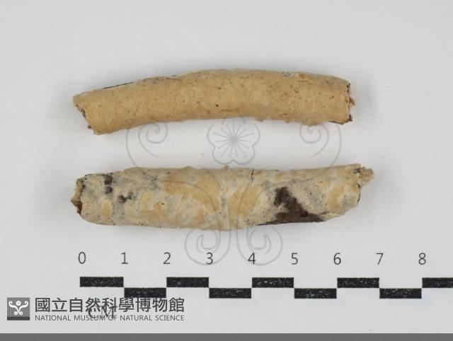 登錄號:F0034525藏品圖，第1張