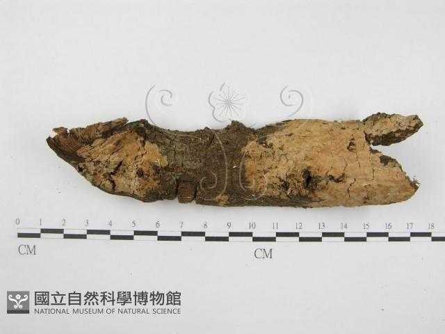 登錄號:F0002525藏品圖，第1張