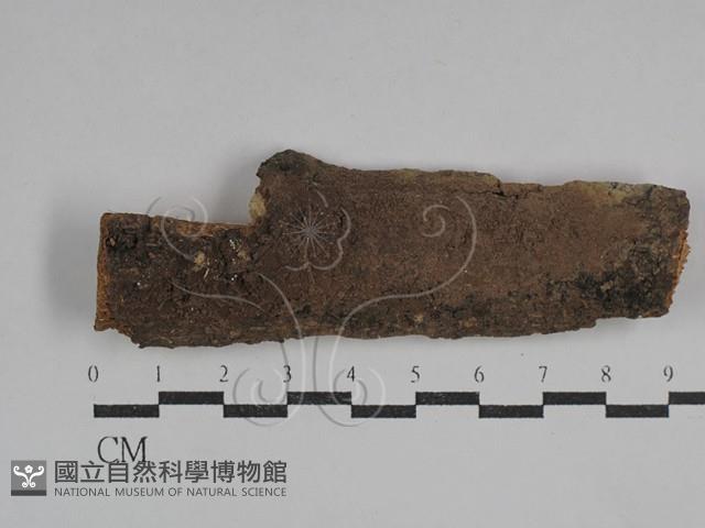 登錄號:F0029525藏品圖，第1張