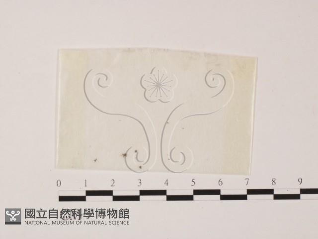 登錄號:F0002125藏品圖，第1張